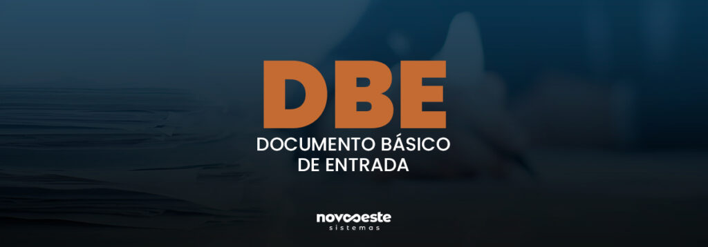 DBE: DOCUMENTO BÁSICO DE ENTRADA