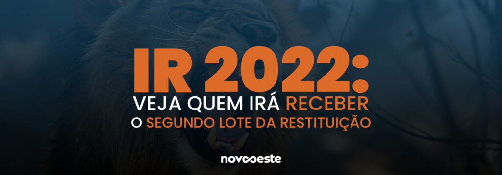 IR 2022: Veja quem irá receber o segundo lote da restituição