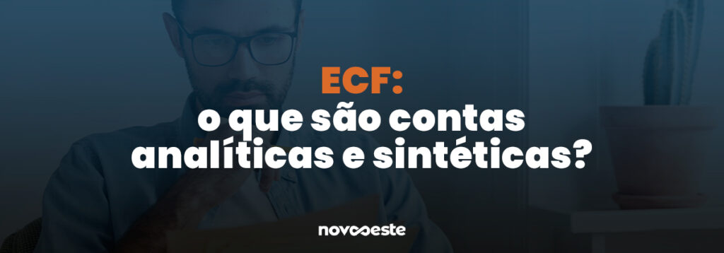 ECF: o que são contas analíticas e sintéticas
