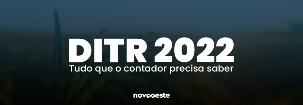 DITR 2022: Governo publica regras