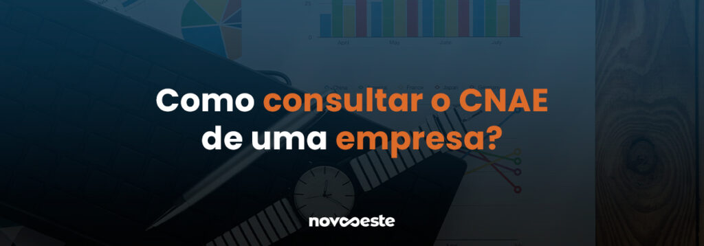 Como consultar o CNAE de uma empresa?